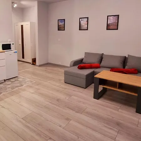 Kopernika 49 Apartment
